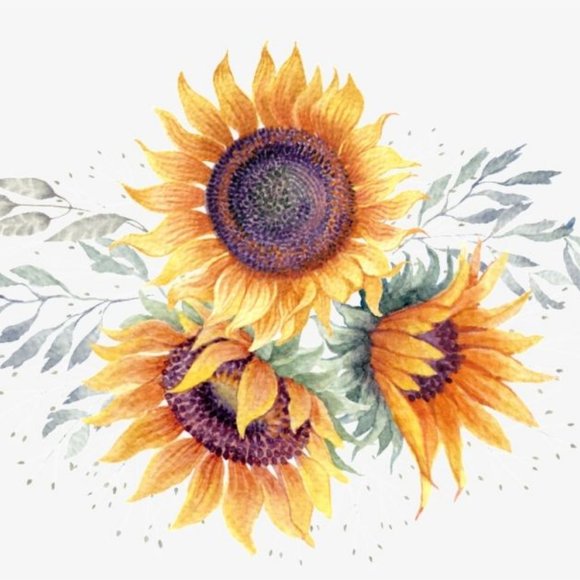 Bookmark my Closet! - Picture 1 of 1